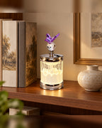2679 Butterfly Purple Crystal Night Lamp